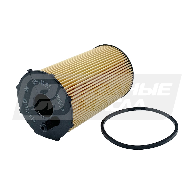 BIG FILTER GB-1443EC (1109AW, 1311289, 4R8Q6744AA) GB1443EC